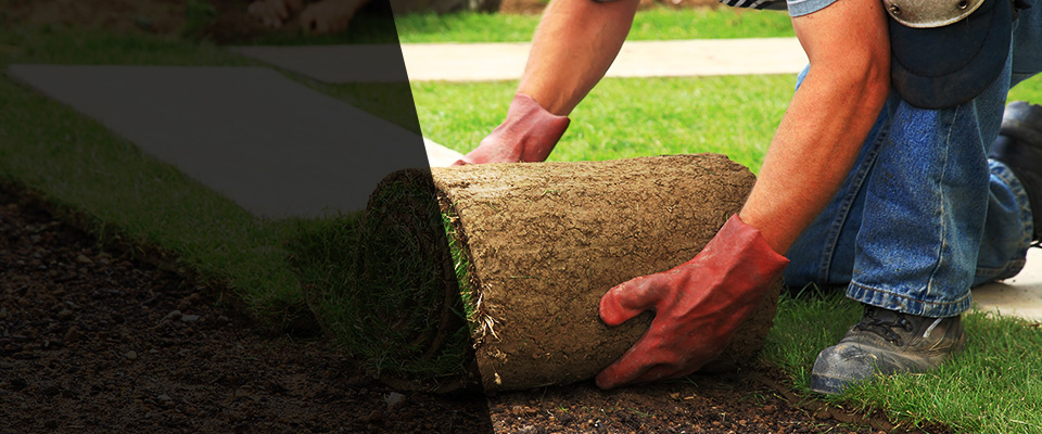 Zieglerville Landscapers